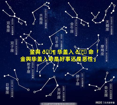 金舆 🐶 华盖入 🦊 命「金舆华盖入命是好事还是恶性」